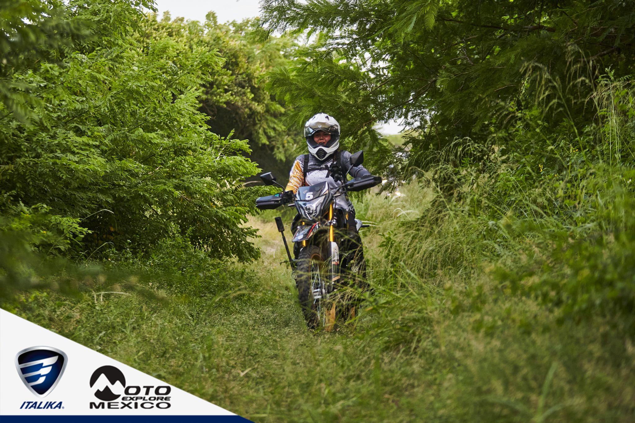 ITALIKA CHACHALACAS D1 382